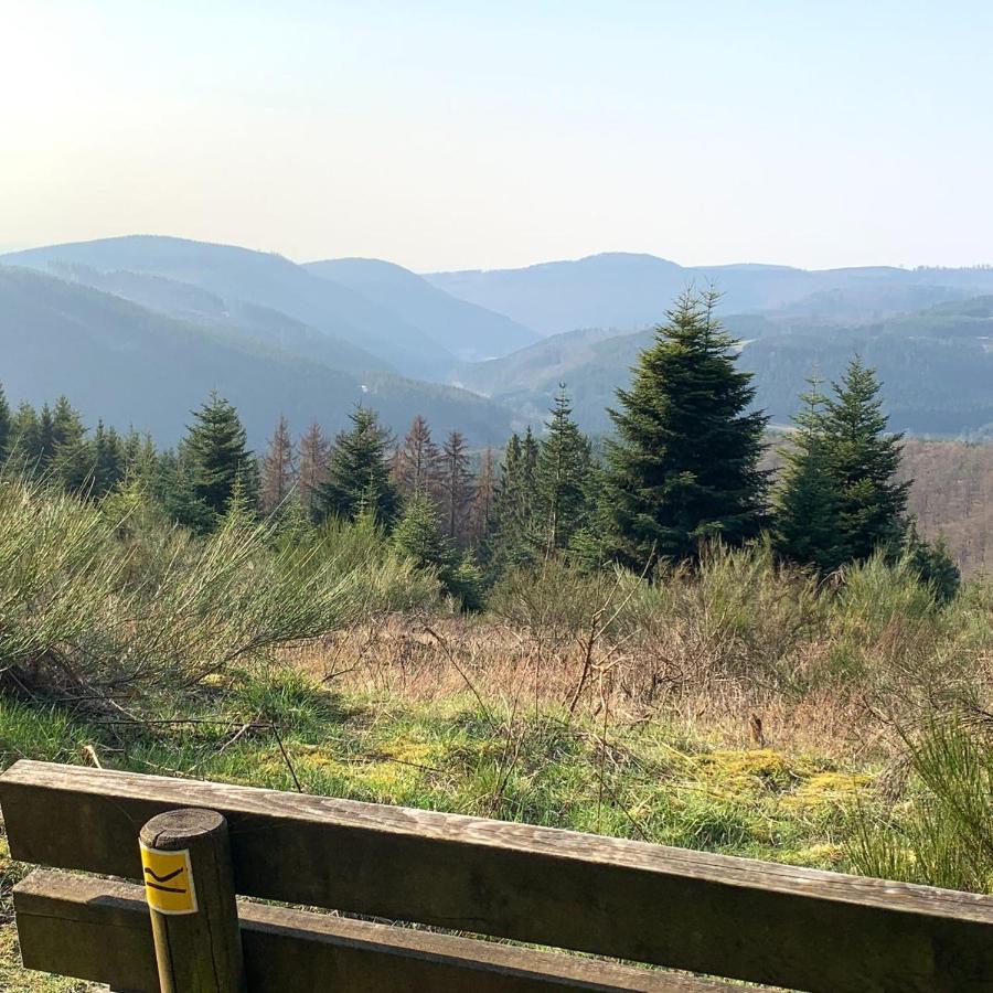 Ferienwohnung Bergstrasse Winterberg Bagian luar foto
