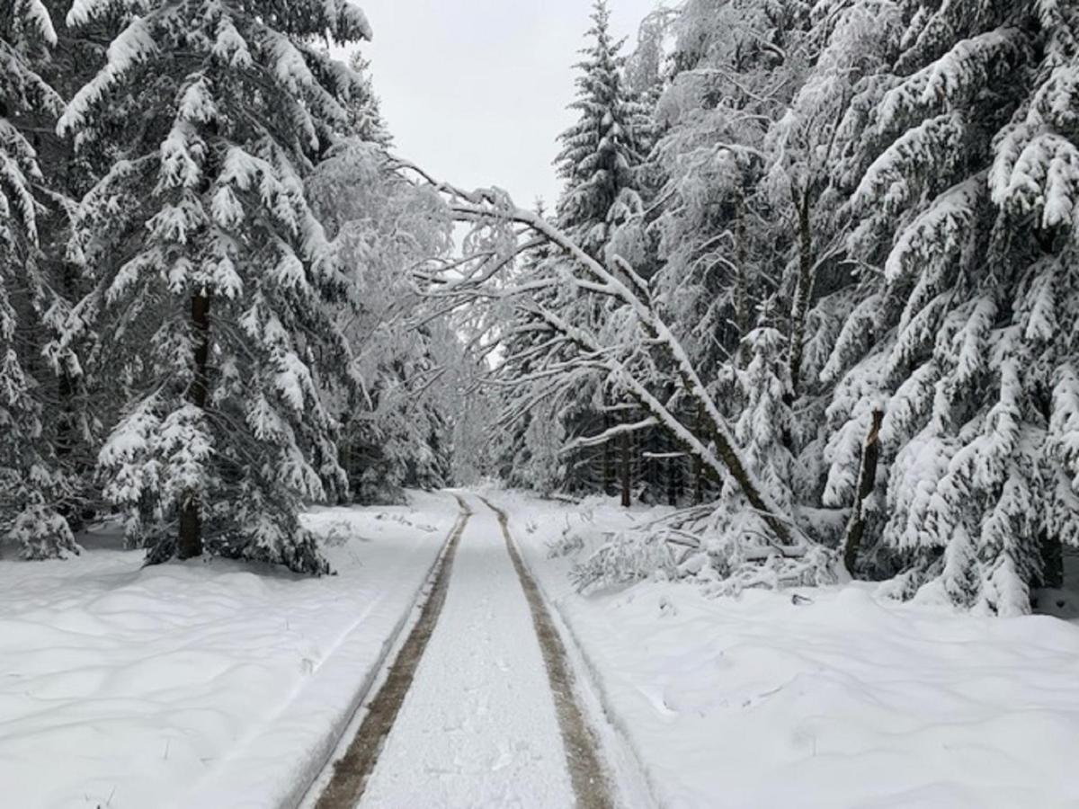Ferienwohnung Bergstrasse Winterberg Bagian luar foto