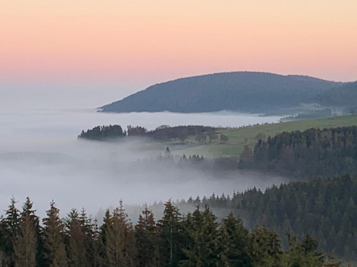 Ferienwohnung Bergstrasse Winterberg Bagian luar foto